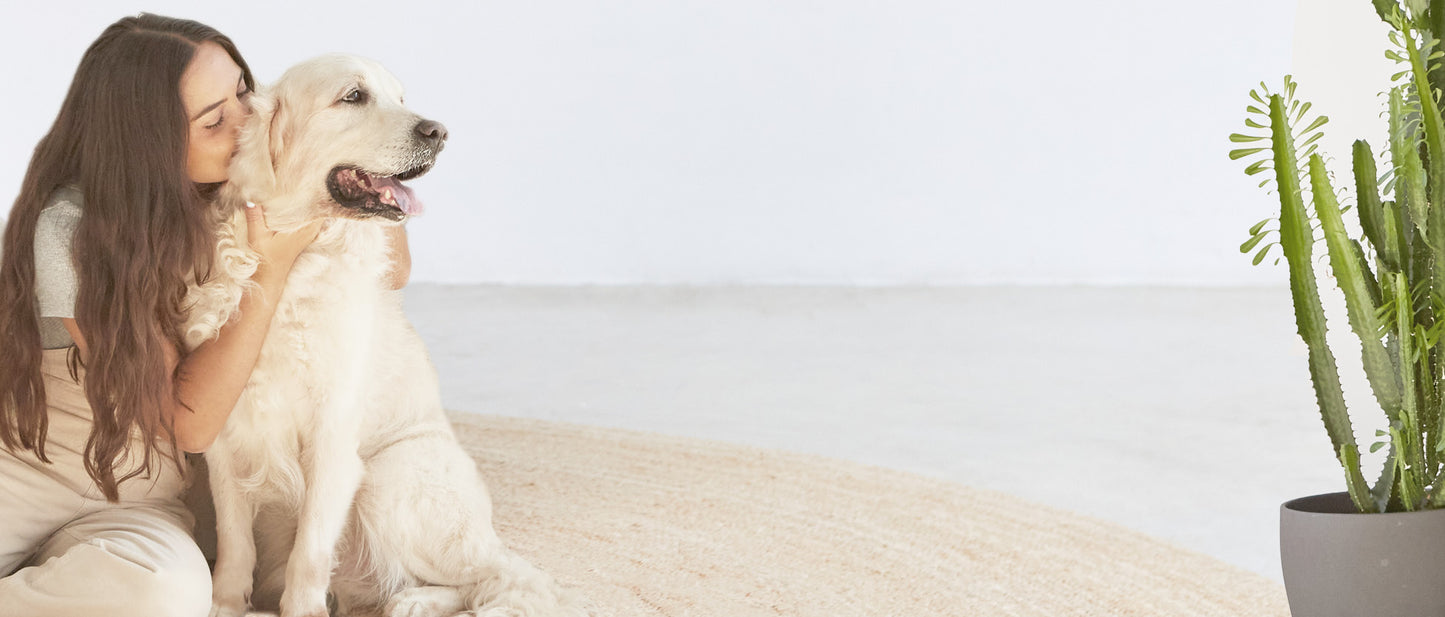 Secador de Pelo para Mascotas Vapurr
