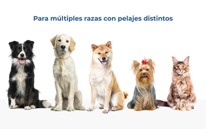 Secador de Pelo para Mascotas Vapurr