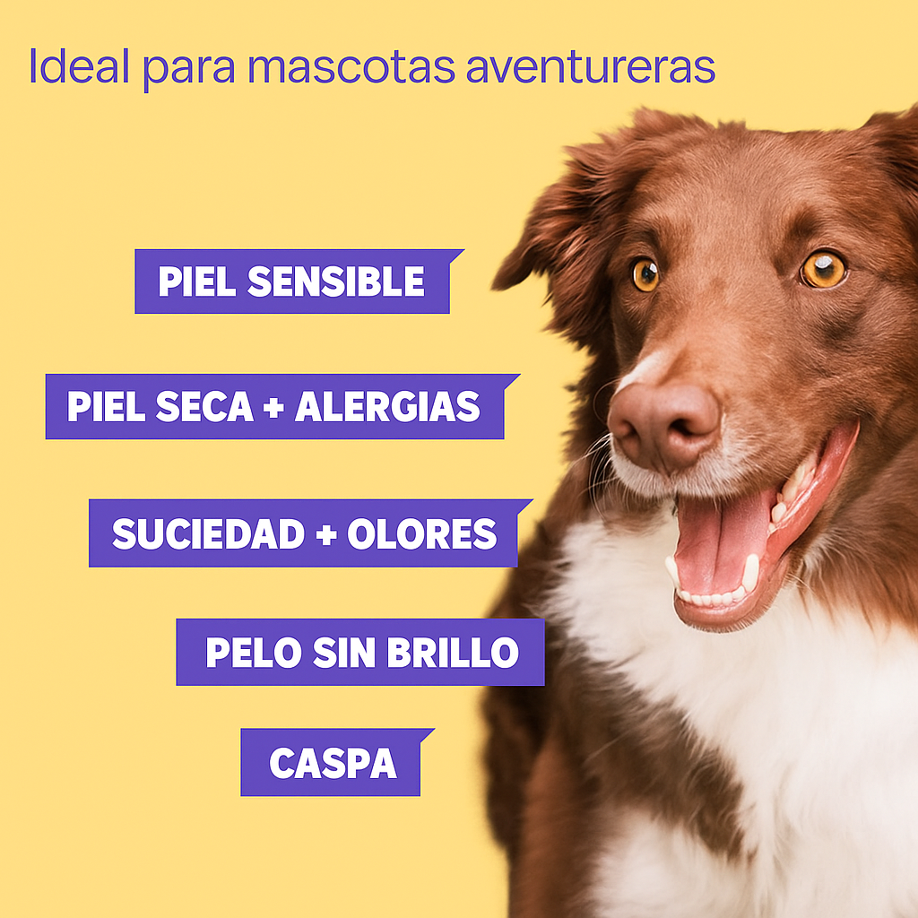 Guantes hipoalergénicos HICC Pet® para mascotas