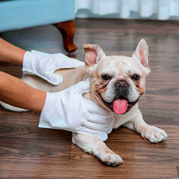 Guantes hipoalergénicos HICC Pet® para mascotas